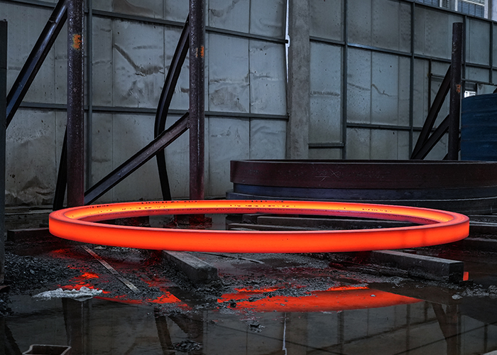 Zhangjiagang Maiterio Intelligent Equipment Company